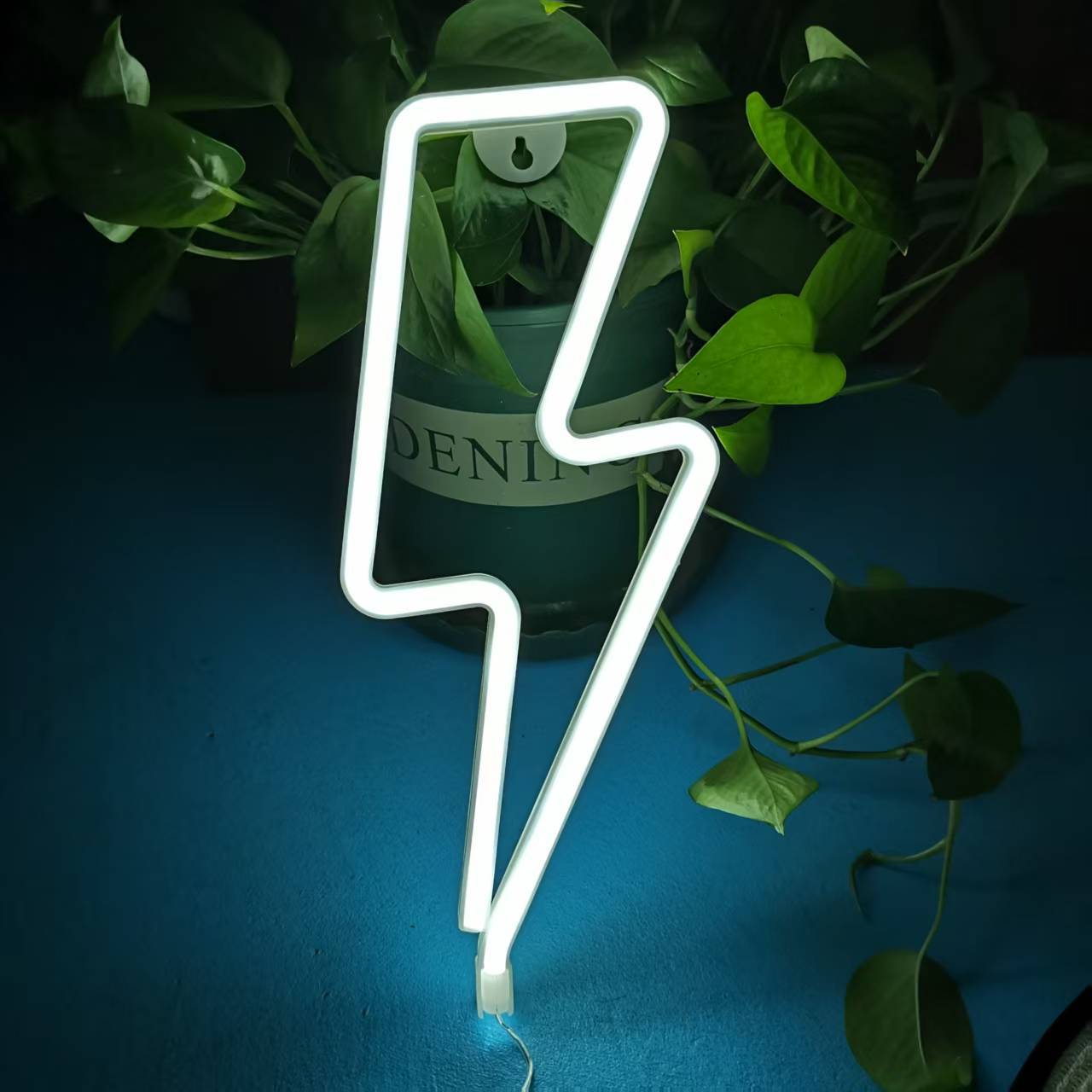 LED decorative lights