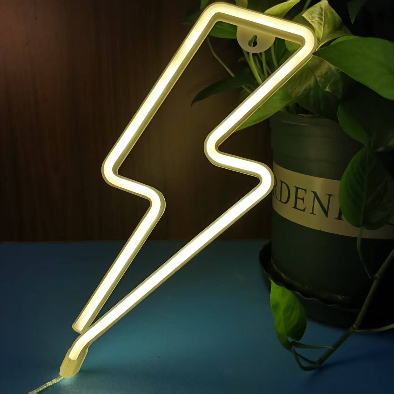 LED decorative lights